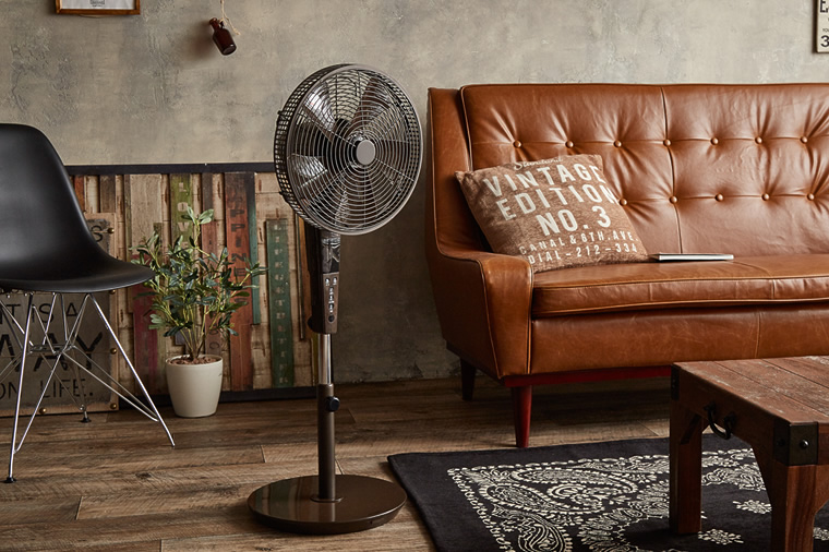fan-3