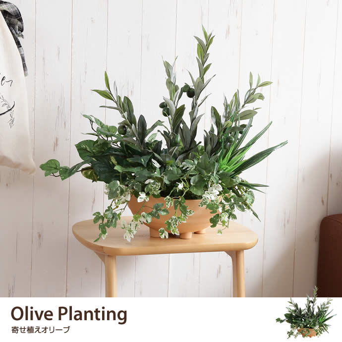人工観葉植物でグリーンのある暮らし♪の画像
