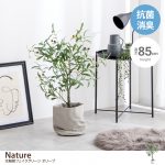 【新商品】お家の中でも「自然」を感じる暮らしの画像